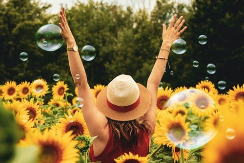 woman in sunflower field